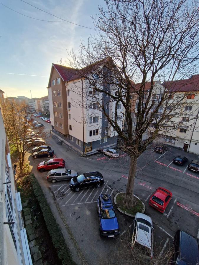Ferienwohnung Apartament Victoria Târgu Jiu Exterior foto